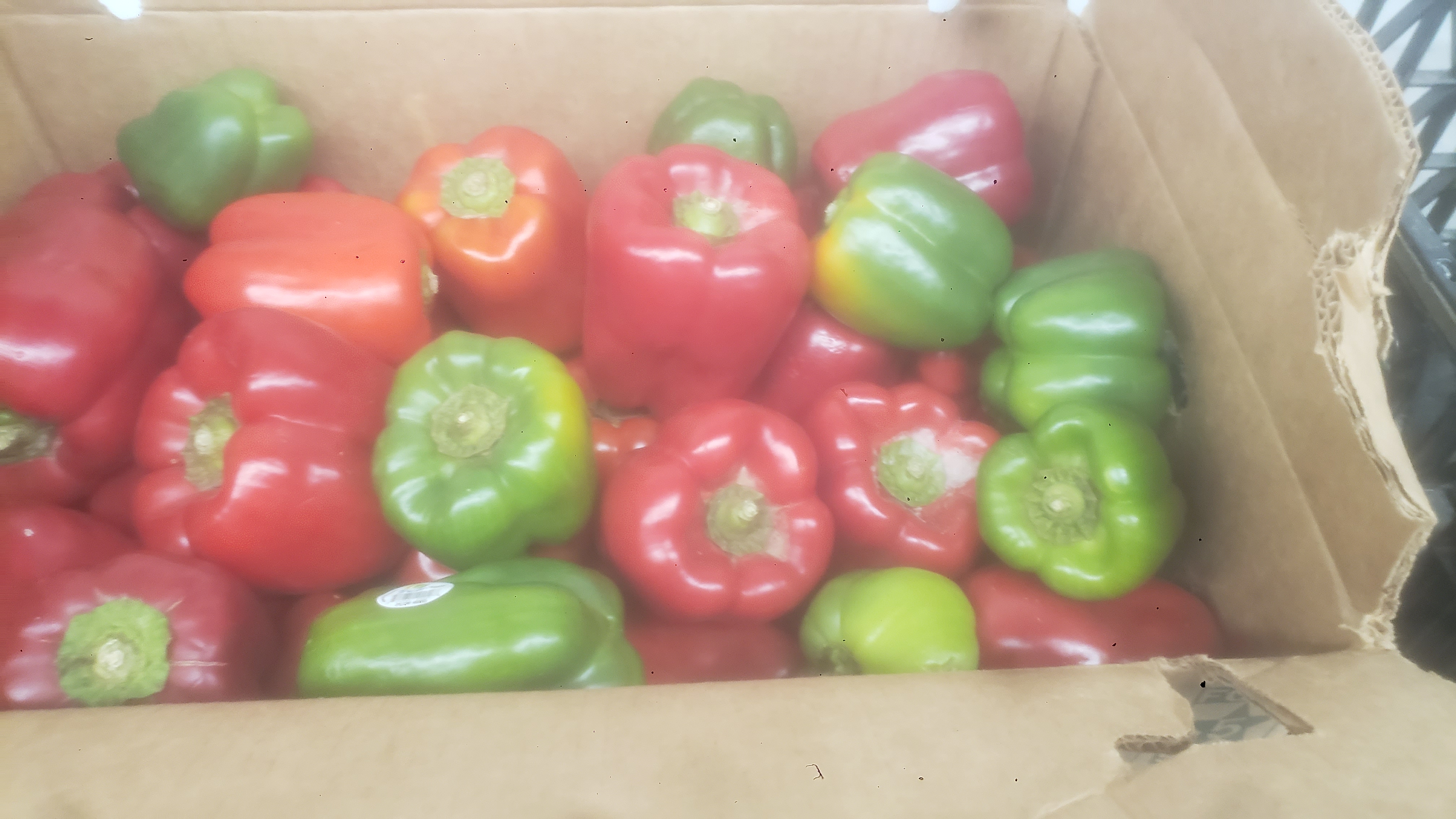 Cardboard box filled with red and green bell peppers.